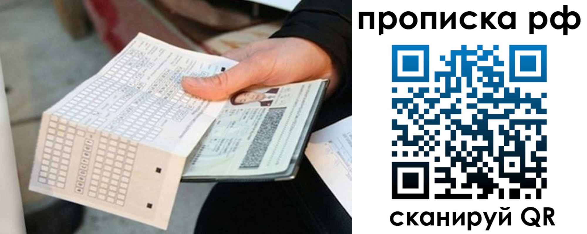 прописка поиск в Петропавловске-Камчатском